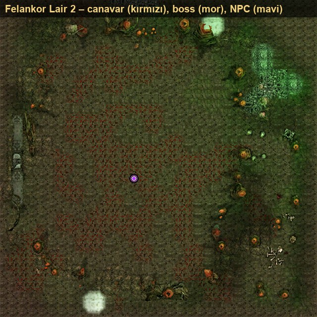 Felankor Lair 2 Haritası: Canavarlar, NPC'ler ve Seviye Aralığı